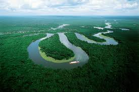 paisaje del Amazonas
